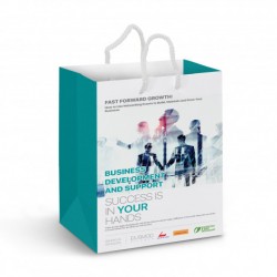 Medium Laminated Paper Carry Bag - Full Colour